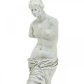 Floristik24 Venus estatua escultura decorativa H29cm gris-marrón figura decorativa jardín
