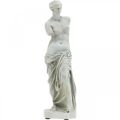 Floristik24 Venus estatua escultura decorativa H29cm gris-marrón figura decorativa jardín