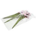 Floristik24 Flores de decoración de verano como tapones rosa, rosa 32cm 6pcs