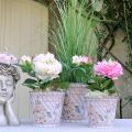 Floristik24 Jardinera de rosas de metal con maceta de decoración de verano Ø11.5cm H10.5cm