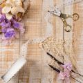 Cinta decorativa con encaje, algodón, borde fino, en rollo, 25 mm de ancho, 10 m de largo. | Floristik24.es