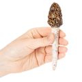 Estaca decorativa artificial con forma de seta morilla para macetas y mesa, 13 cm, 2 unidades. | Floristik24.es