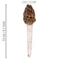Estaca decorativa artificial con forma de seta morilla para macetas y mesa, 13 cm, 2 unidades. | Floristik24.es