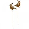 Estaca de jardín pájaro con tapa pátina decoración 12cm 6uds