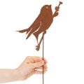 Estaca decorativa para pájaros de jardín, de metal oxidado, 52 cm. | Floristik24.es