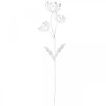 Floristik24 Decoración de primavera, plug deco flor shabby chic blanco, plata L87cm W18cm