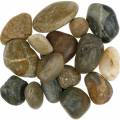 Floristik24 River Pebbles Natural Claro y Oscuro 3-6cm 1kg