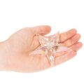 Adornos decorativos en forma de estrella, acrílico transparente iridiscente, decoración para árbol de Navidad, 9 cm, 6 unidades | Floristik24.es