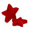 Floristik24 Star mix rojo flocado 4-5cm 40pcs