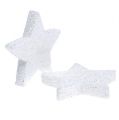 Floristik24 Estrellas blancas 6,5cm con mica 36pcs