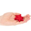 Pequeña estrella decorativa, adorno esparcido flocado, 5 cm, 40 unidades | Floristik24.es
