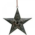 Floristik24 Percha de Navidad Star Metal Star Black H19cm