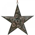 Floristik24 Estrella colgante de Navidad estrella de metal negra Alt. 25,5 cm