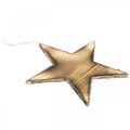 Floristik24 Estrella de madera para colgar decoración navideña flameada natural 20cm