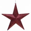Floristik24 Percha decorativa glitter estrella burdeos 21cm 2pcs