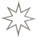 Floristik24 Decoración navideña estrella decoraciones para árboles de Navidad champagne glitter 22cm 12pcs
