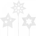 Floristik24 Enchufe de flores estrellas, Adviento, decoración floral, estrellas de madera naturaleza, blanco, brillo dorado L27 / 28.5cm 18pcs