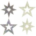 Floristik24 Estrellas decorativas para manualidades amarillo, goma espuma marrón 4cm 36pcs