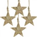 Floristik24 Star mango madera naturaleza, adornos para árboles de Navidad dorados 12cm 4pcs