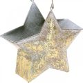 Floristik24 Estrella metálica decorativa para colgar y decorar Dorado Ø13cm