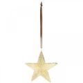 Floristik24 Estrellas para colgar, adornos de metal, adornos para árboles de Navidad dorados 9,5 × 9,5cm 3ud