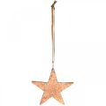 Floristik24 Estrella de cobre para colgar, decoración árbol de Navidad, colgantes de metal 8 × 9cm 2ud