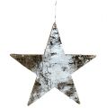 Floristik24 Estrellas hechas de corteza de abedul blanco 29cm 3pcs