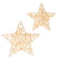 Floristik24 Juego de estrellas decorativas de alambre, dos tamaños, 10 cm, 12 piezas