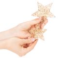 Juego de estrellas decorativas de alambre, dos tamaños, 10 cm, 12 piezas | Floristik24.es
