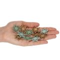 Decoraciones de estrellas de madera surtidas para decoración de mesa y manualidades, 3 cm, 72 piezas | Floristik24.es