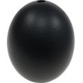 Decoración Huevo de Avestruz Decoración de Pascua soplada Negro Ø12cm H14cm