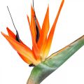 Floristik24 Strelizie reginae flor artificial ave del paraíso naranja L85cm