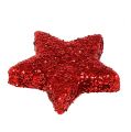 Floristik24 Estrella de Navidad dispersa roja 2.5cm 100p