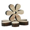 Floristik24 Decoración dispersa flores de madera decoración de mesa marrón natural Ø2–6cm 20ud