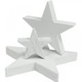 Floristik24 Scatter decoración madera estrellas Navidad blanco 2,5/4,5/6,5cm 29p