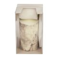 Floristik24 Vela de pilar vela de corteza de árbol decoración de abedul crema 140/80mm
