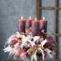Velas cilíndricas, teñidas completamente en color baya, de varios tamaños. | Floristik24.es