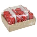 Velas de pilar H100 Ø50cm velas rojas 12ud | Floristik24.es