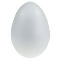 Floristik24 Huevo de poliestireno 20cm 1ud