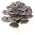 Floristik24 Flores artificiales de cera con forma de suculenta, decoración de 10 cm, 6 unidades.
