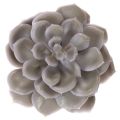 Flores artificiales de cera