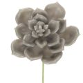 Floristik24 Suculenta artificial de cera, planta artificial con alambre de 8 cm, 8 unidades