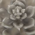 Suculenta artificial de cera, planta artificial con alambre de 8 cm, 8 unidades | Floristik24.es