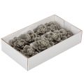 Suculenta artificial de cera,