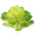Floristik24 Planta suculenta artificial, verde, para decoración en cuenco o jarrón, 10 cm, 4 unidades.