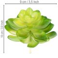 Planta suculenta artificial, verde, para decoración en cuenco o jarrón, 10 cm, 4 unidades. | Floristik24.es