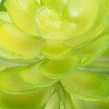 Planta suculenta artificial, verde, para decoración en cuenco o jarrón, 10 cm, 4 unidades. | Floristik24.es