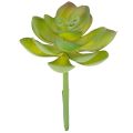 Floristik24 Planta suculenta verde artificial como decoración para arreglos creativos.