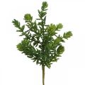 Floristik24 Suculenta planta verde artificial para pegar 25cm verde 2uds