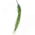 Floristik24 Planta colgante artificial suculenta verde 96cm